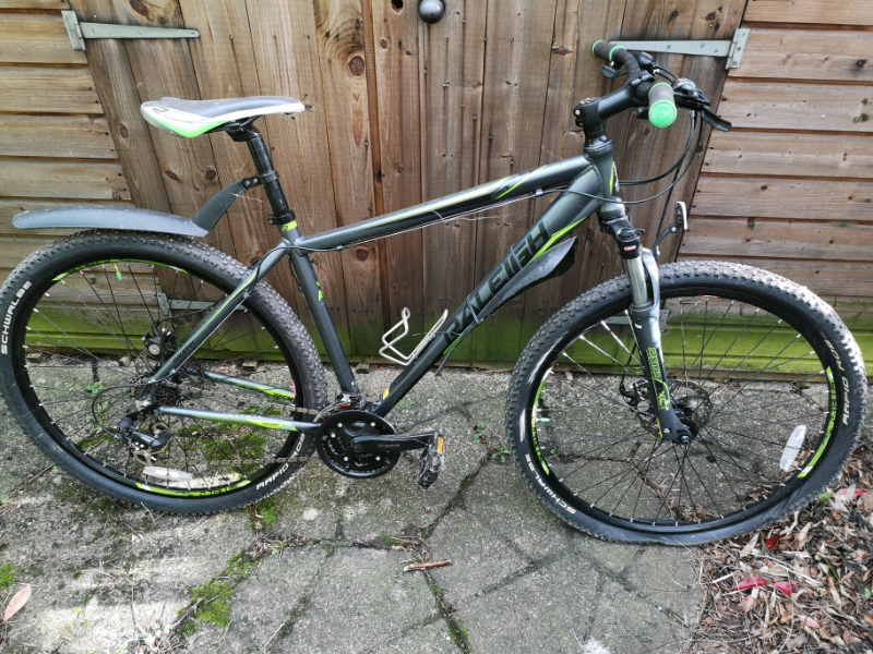raleigh talus 29r